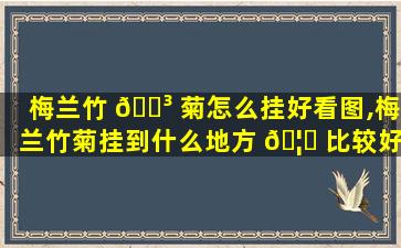 梅兰竹 🐳 菊怎么挂好看图,梅兰竹菊挂到什么地方 🦆 比较好